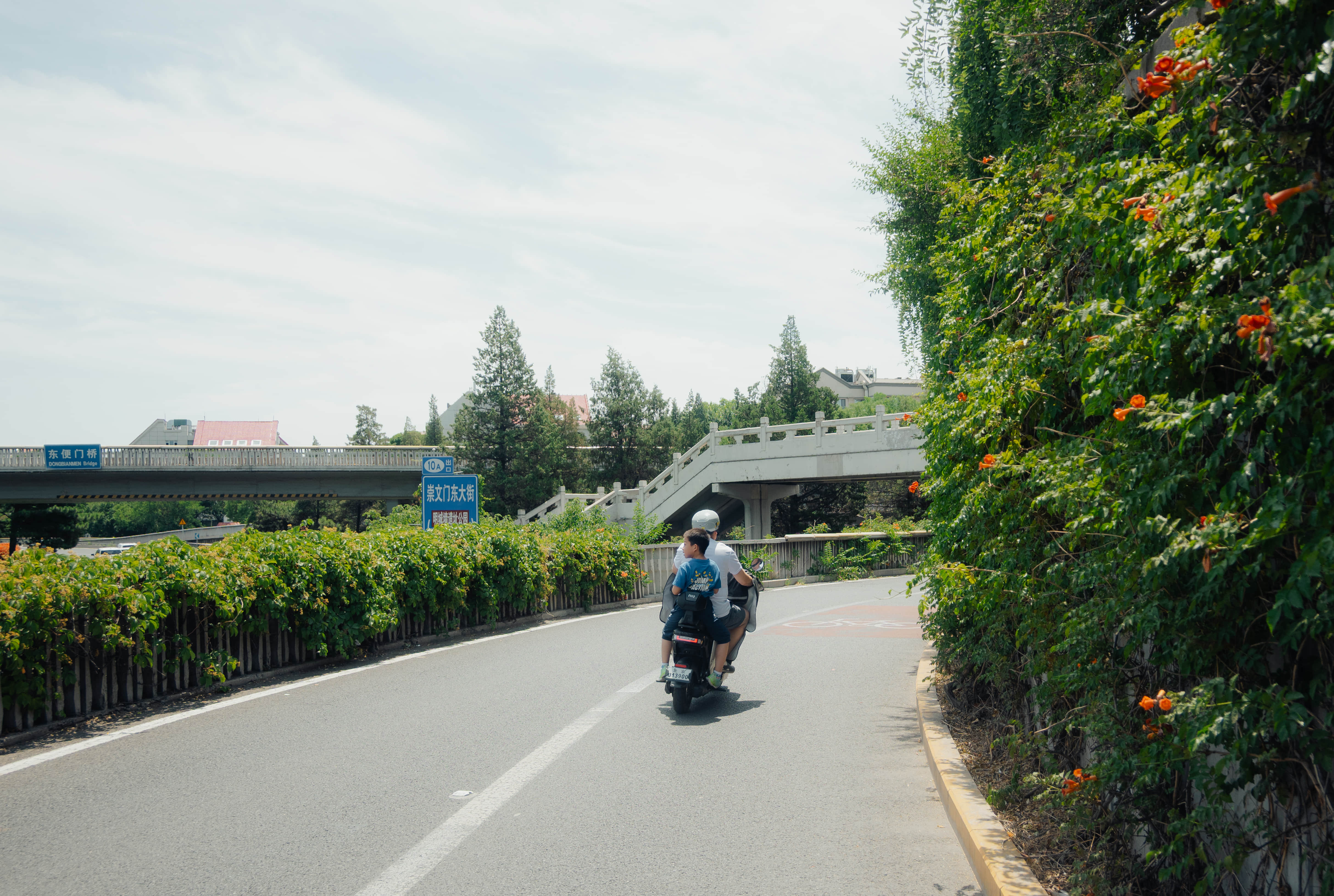 2025-我的一些摄影