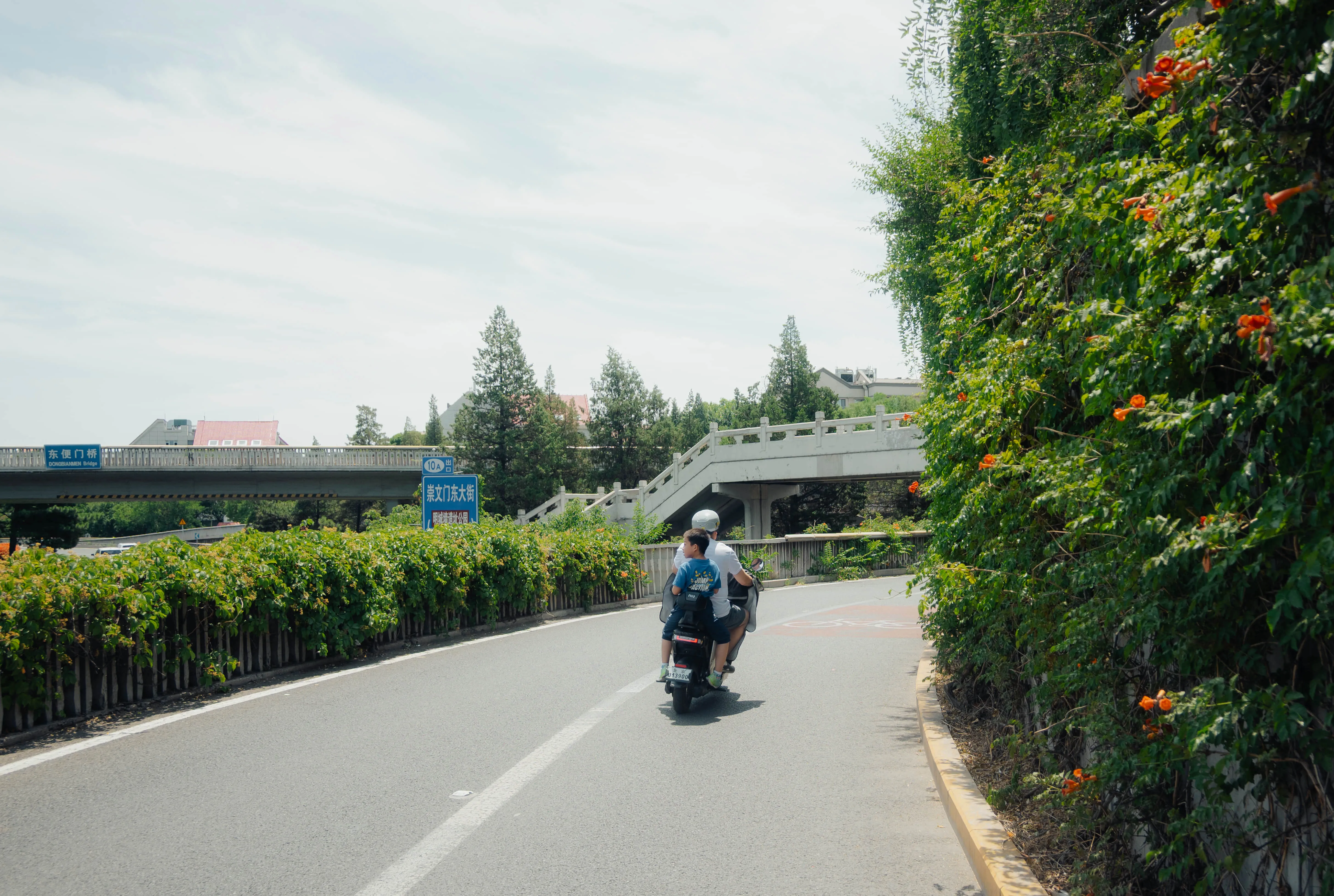 2025 摄影精选 01