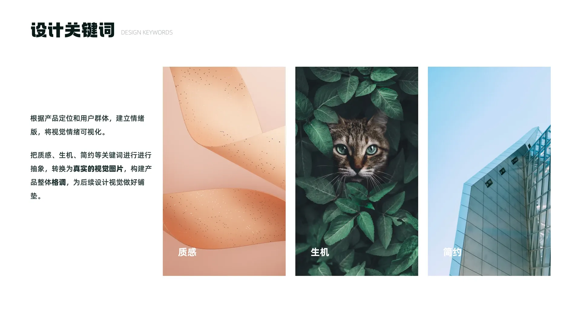 喵咔星球 14