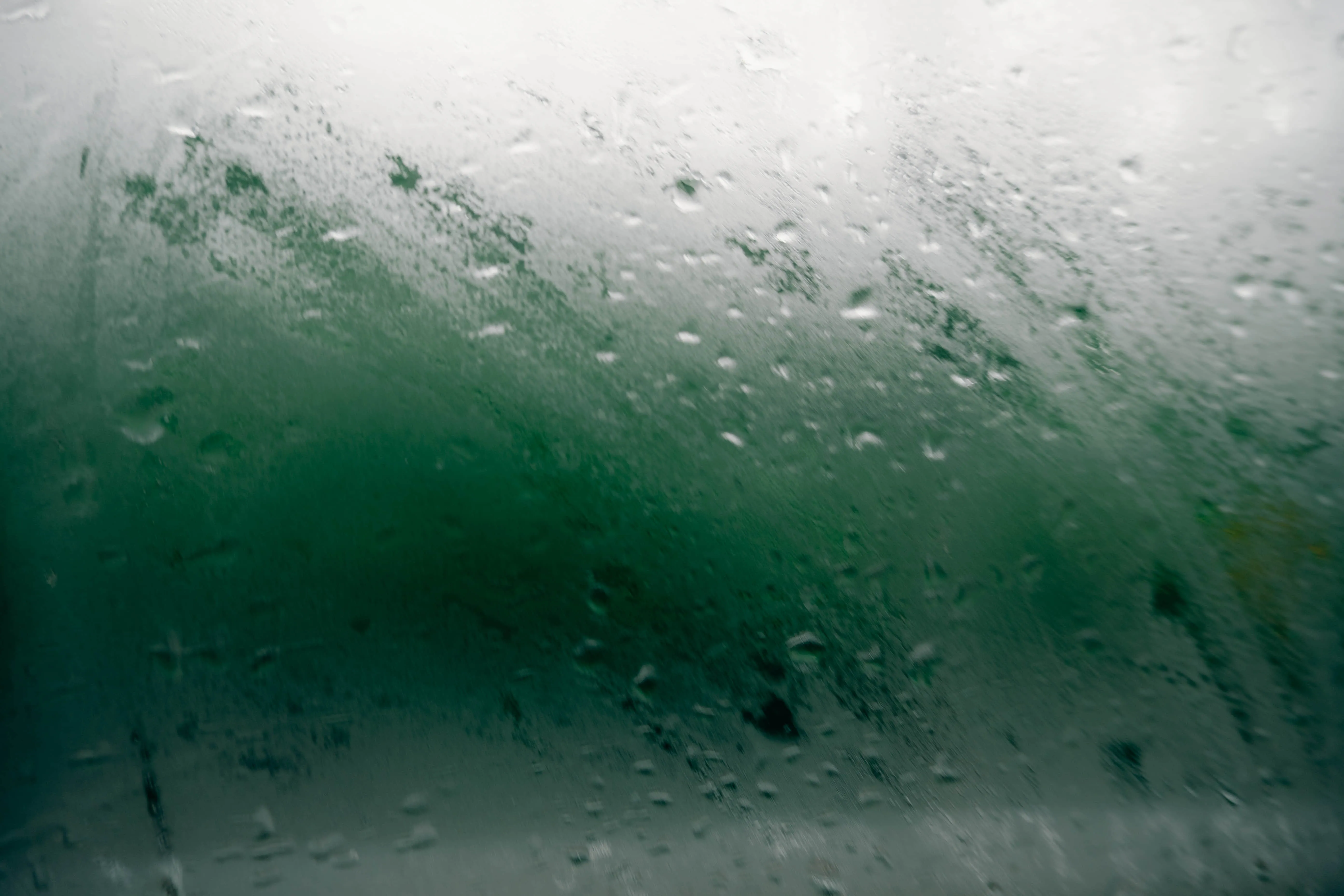 2025 摄影精选 14