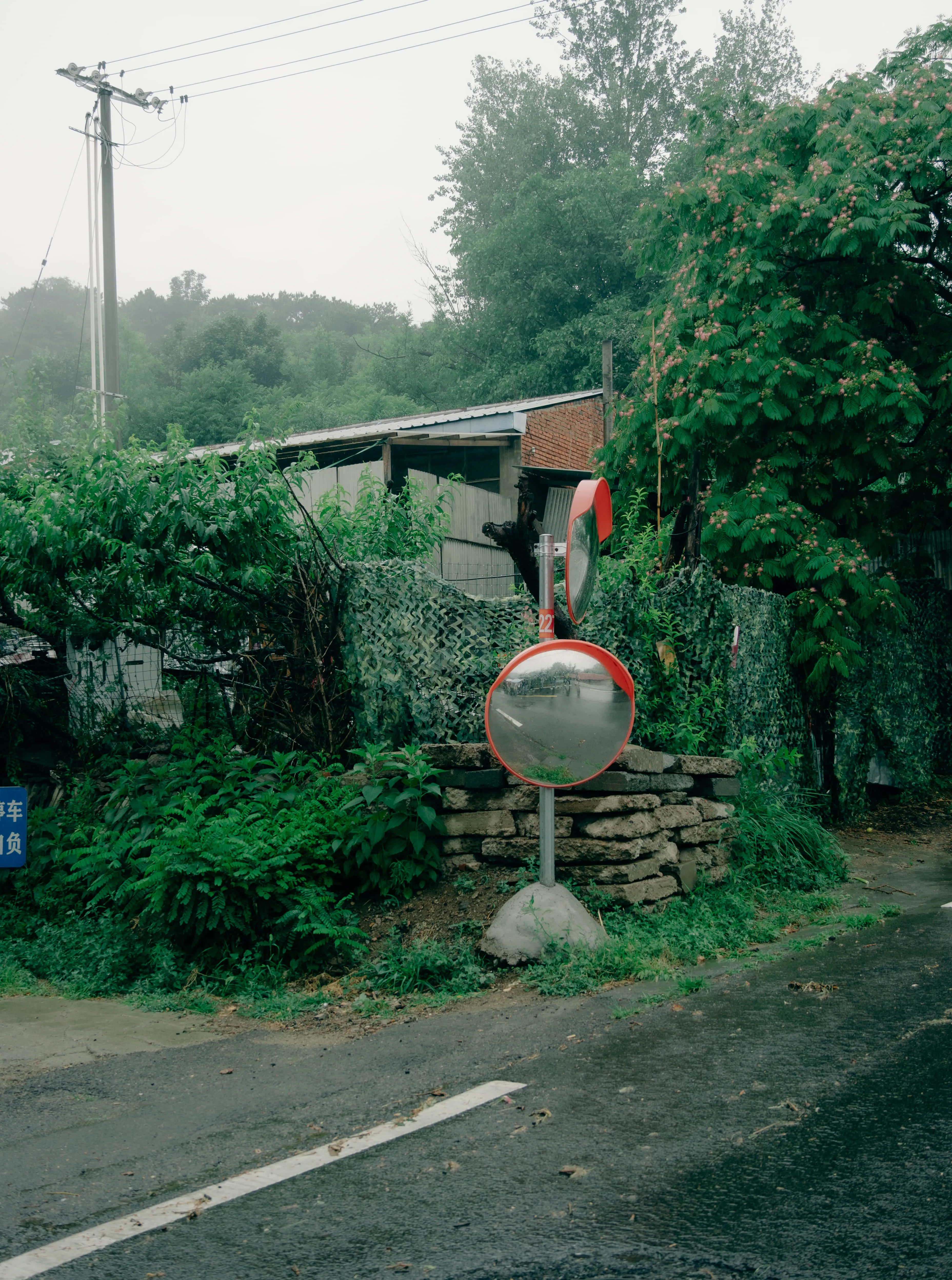 2025 摄影精选 15