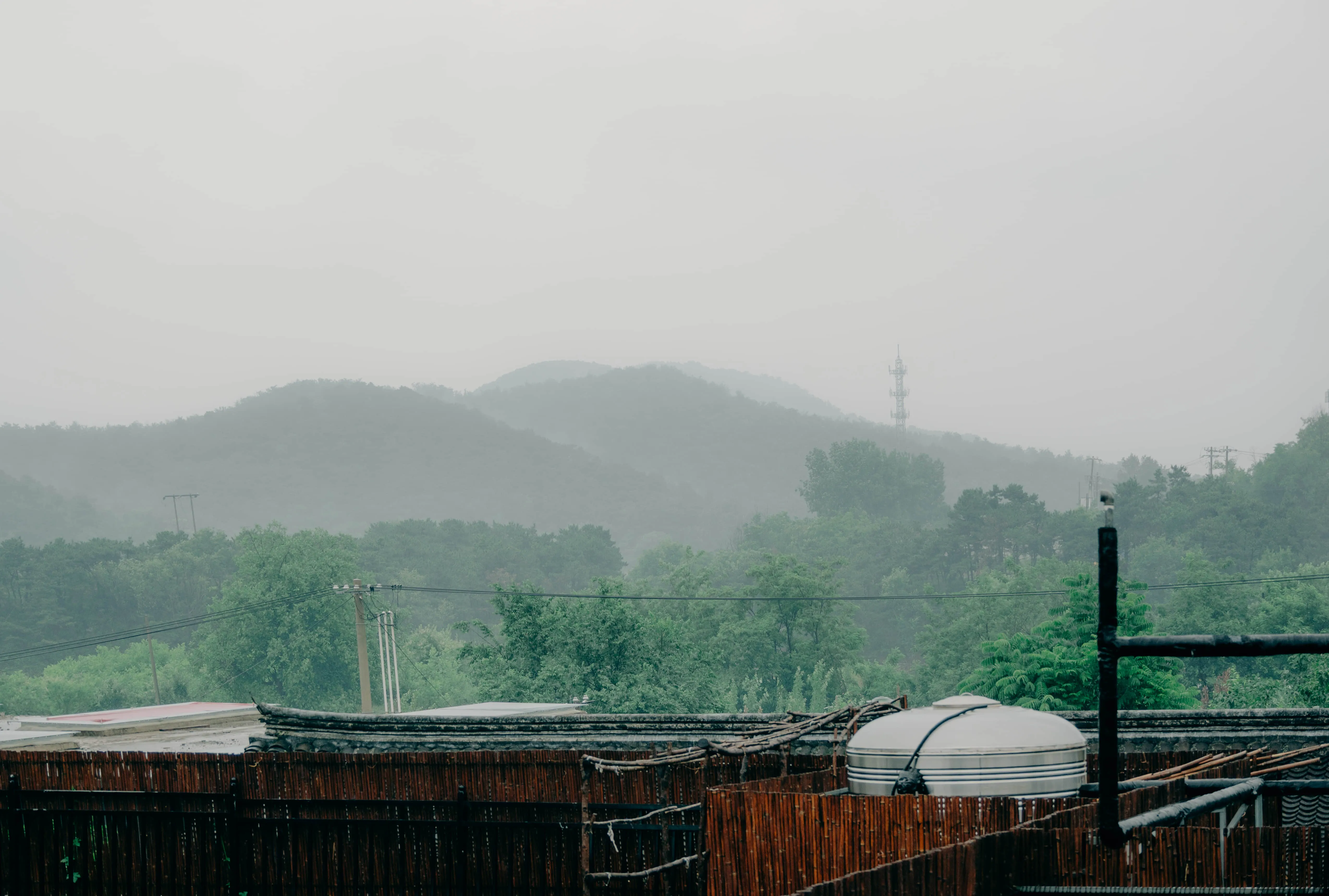 2025 摄影精选 16