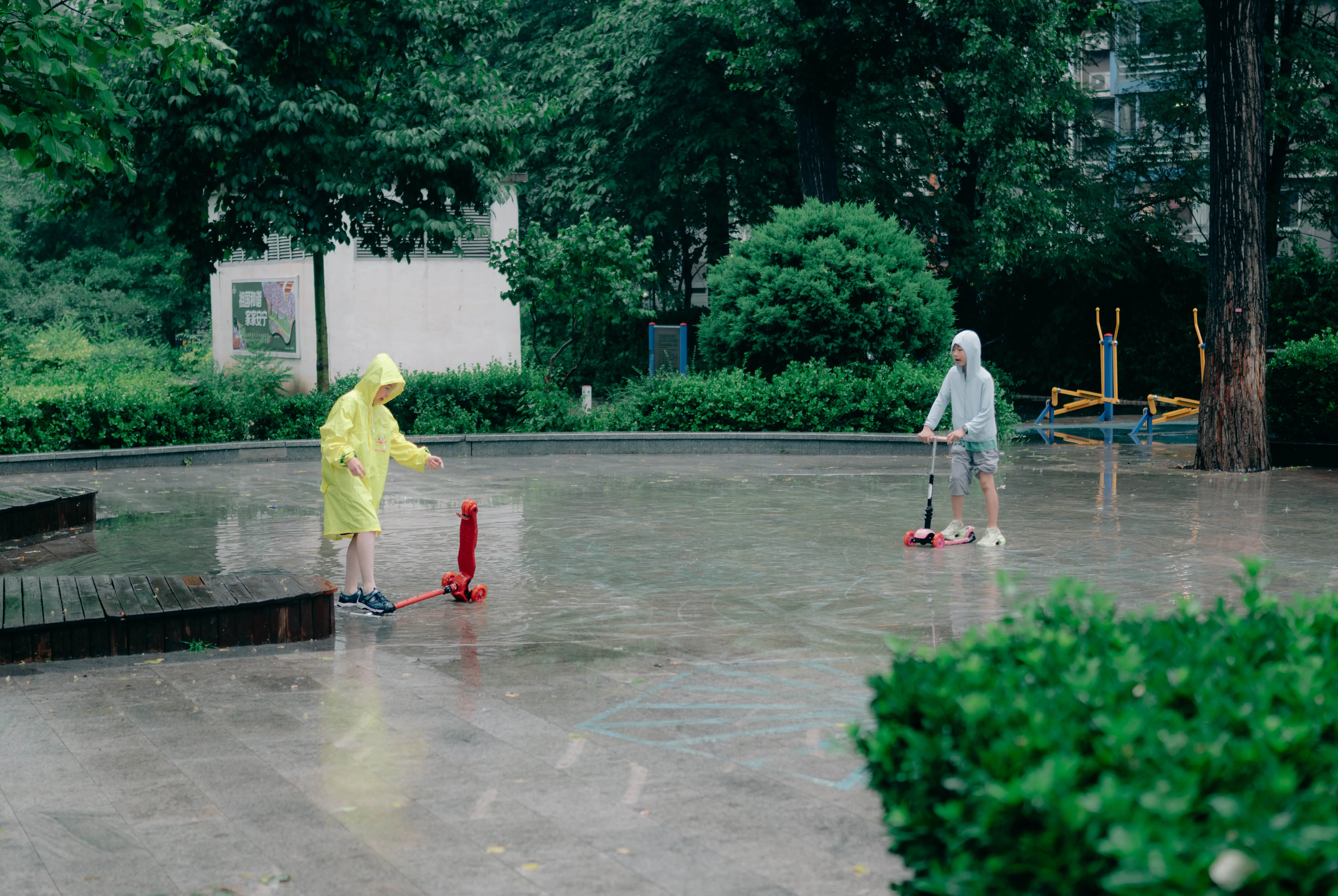 2025 摄影精选 18