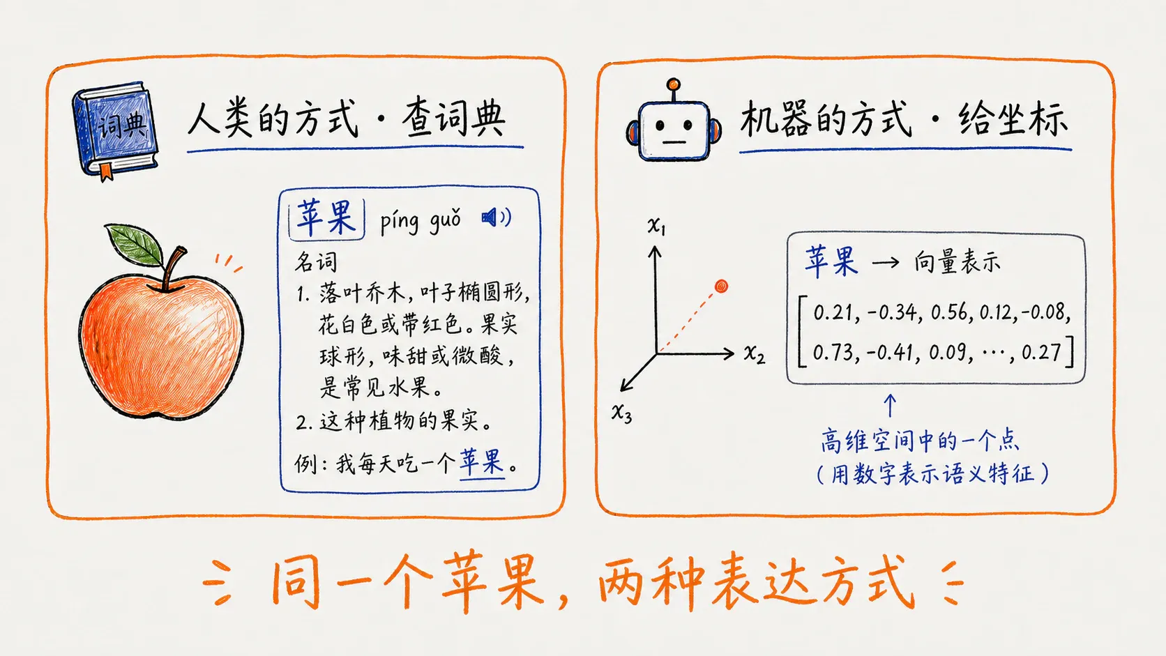 Embedding 将 Token 映射为向量