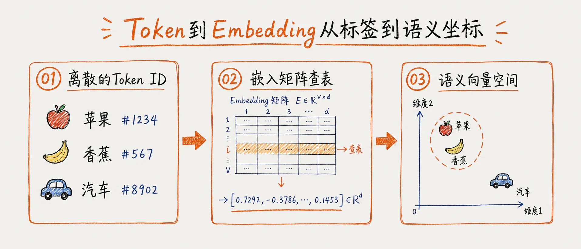 Token 从编号进入语义向量空间