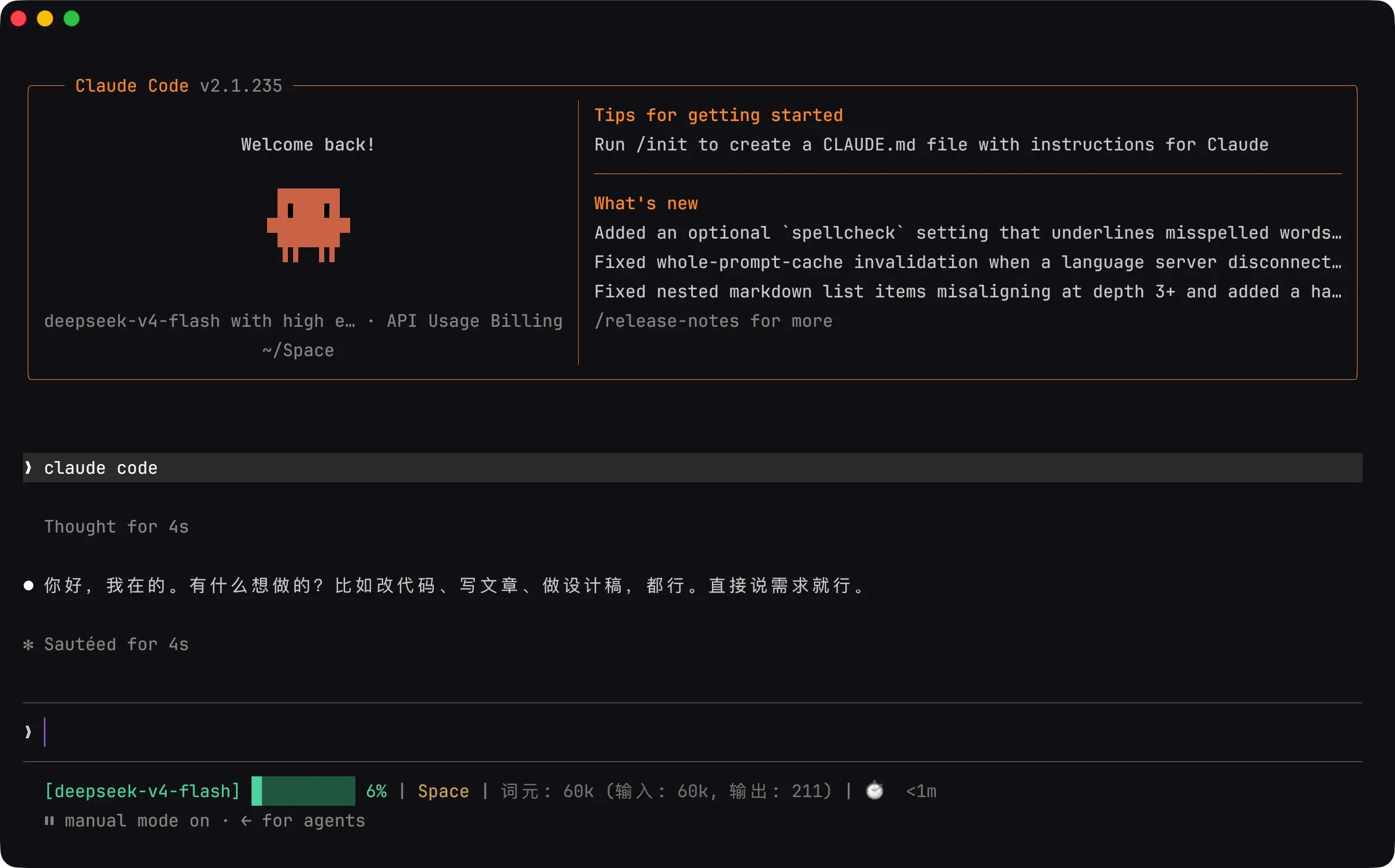 Claude Code 终端主界面