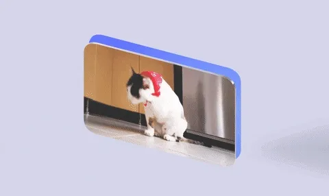 材质视频